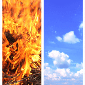 ✨🌿 Como Usar Cada Força da Natureza a Seu Favor 🌿✨